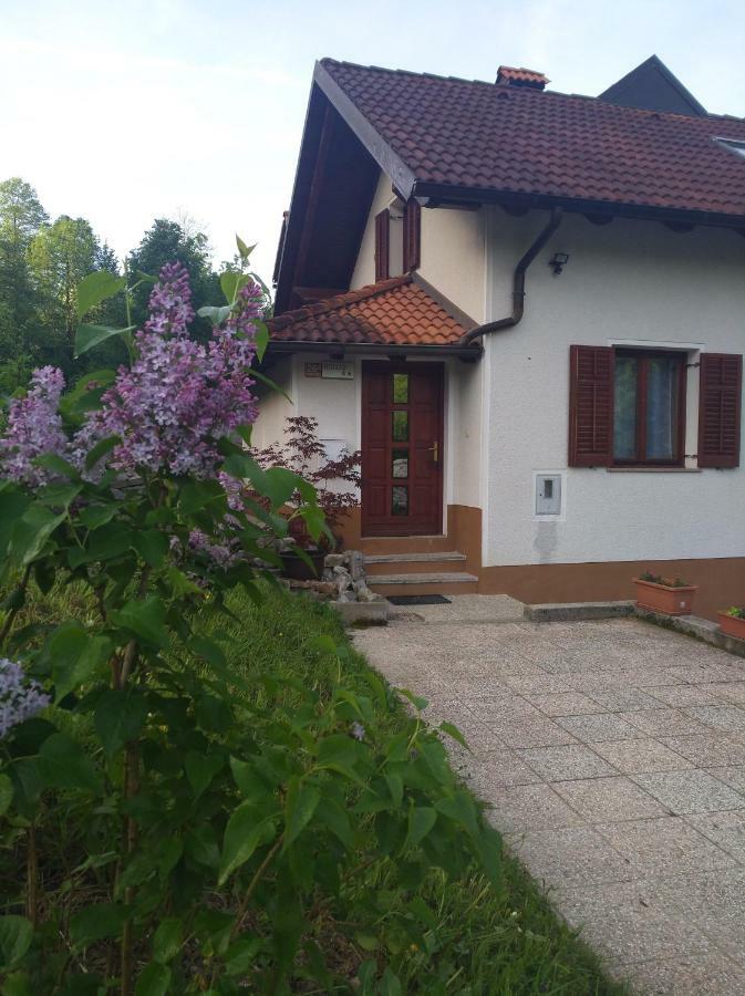 Apartment Sela Tolmin Luaran gambar